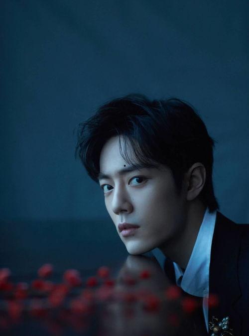 肖战张晶新闻最新爆料,最新爆料揭露惊人内幕